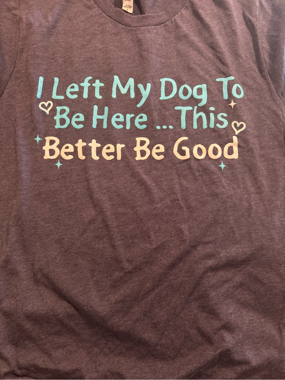 Bella Canvas Tee with Teal and Cream Text. Never been worn.